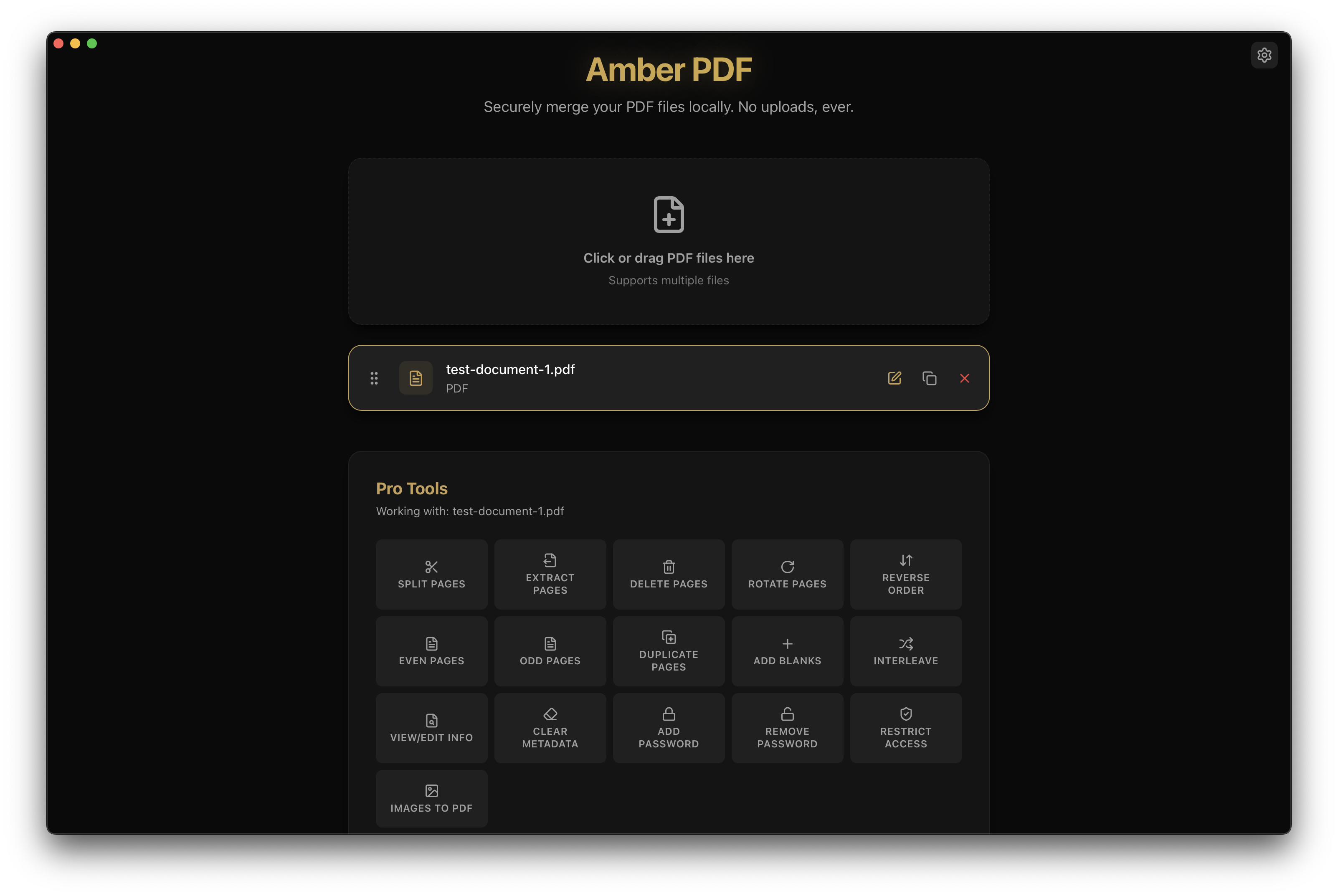 Amber PDF screenshot